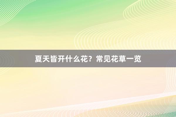 夏天皆开什么花？常见花草一览