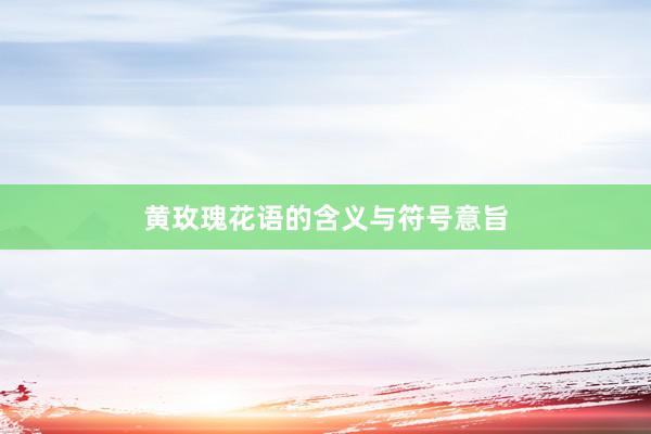 黄玫瑰花语的含义与符号意旨