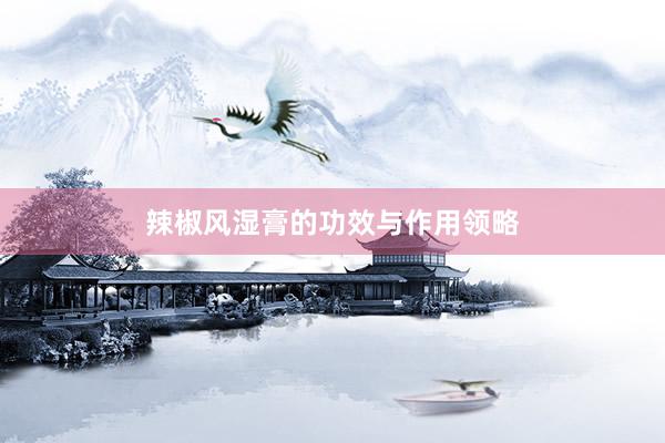 辣椒风湿膏的功效与作用领略