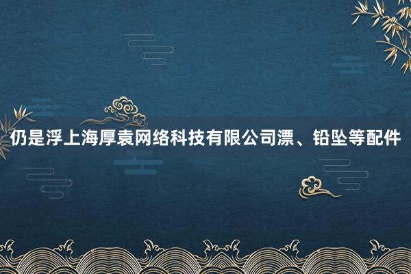 仍是浮上海厚袁网络科技有限公司漂、铅坠等配件